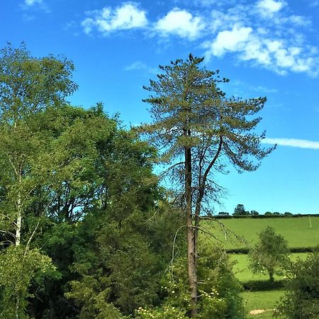 Heddfan Bed & Breakfast Llanboidy Exterior foto