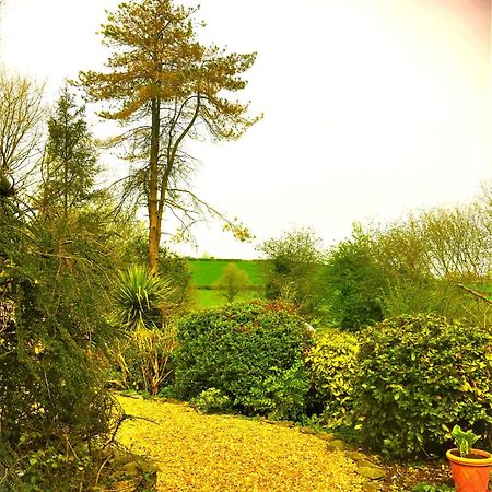 Heddfan Bed & Breakfast Llanboidy Exterior foto