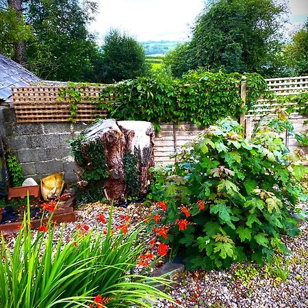 Heddfan Bed & Breakfast Llanboidy Exterior foto