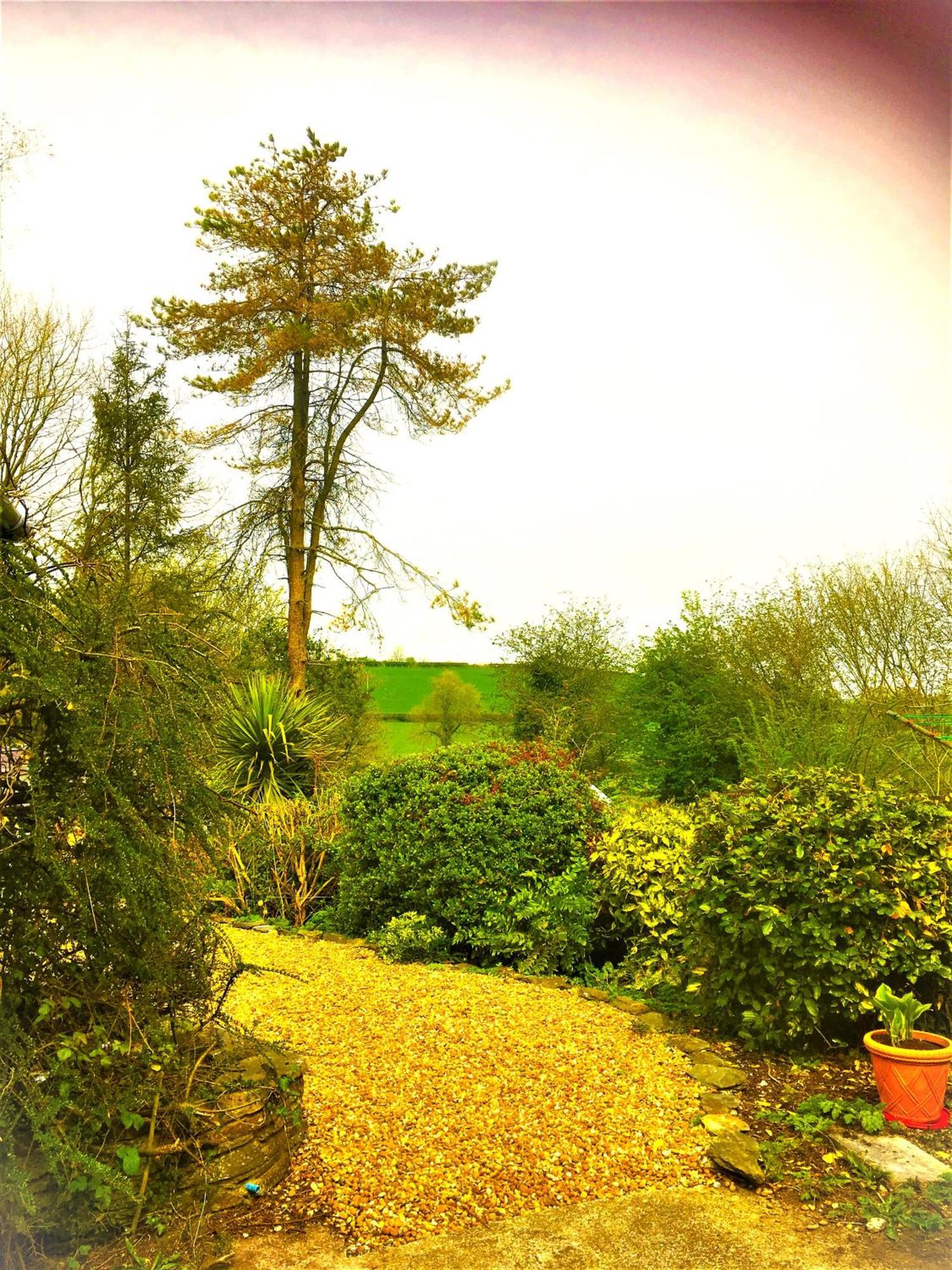 Heddfan Bed & Breakfast Llanboidy Exterior foto